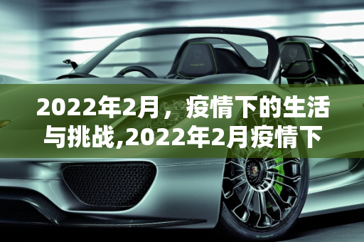 2022年2月，疫情下的生活与挑战,2022年2月疫情下的生活与挑战