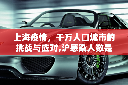 上海疫情，千万人口城市的挑战与应对,沪感染人数是千万级别