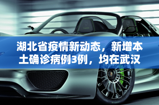 湖北省疫情新动态，新增本土确诊病例3例，均在武汉,湖北省新增本土确诊病例3例 均在武汉