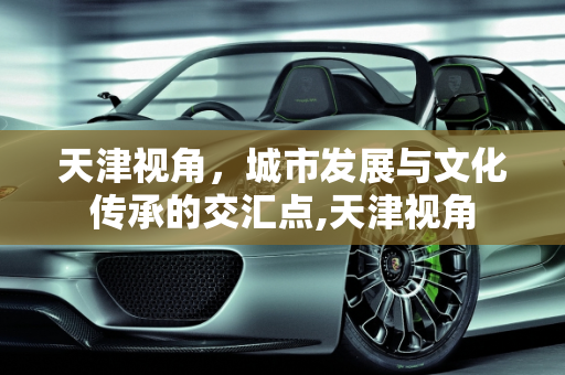 天津视角，城市发展与文化传承的交汇点,天津视角