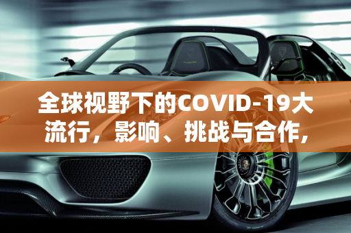 全球视野下的COVID-19大流行，影响、挑战与合作,全球视野下的COVID19大流行
