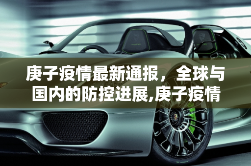 庚子疫情最新通报，全球与国内的防控进展,庚子疫情最新通报