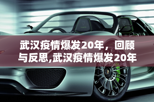 武汉疫情爆发20年，回顾与反思,武汉疫情爆发20年