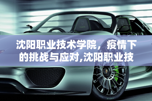 沈阳职业技术学院，疫情下的挑战与应对,沈阳职业技术学院疫情