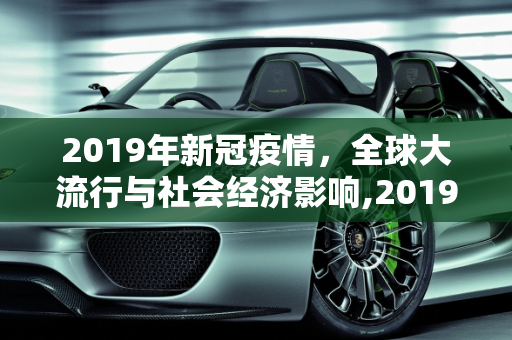 2019年新冠疫情，全球大流行与社会经济影响,2019年新冠疫情