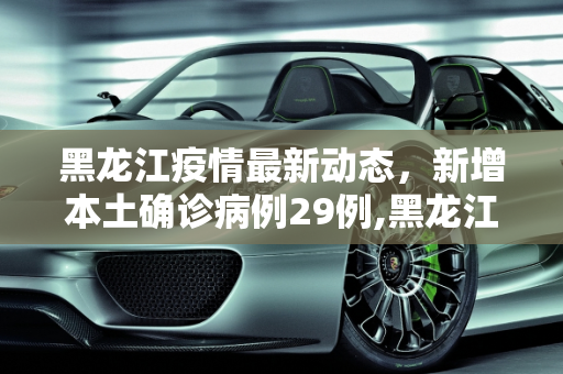 黑龙江疫情最新动态，新增本土确诊病例29例,黑龙江新增本土确诊病例29例