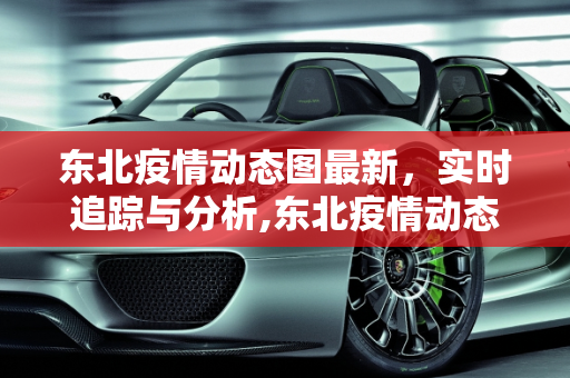 东北疫情动态图最新，实时追踪与分析,东北疫情动态图最新