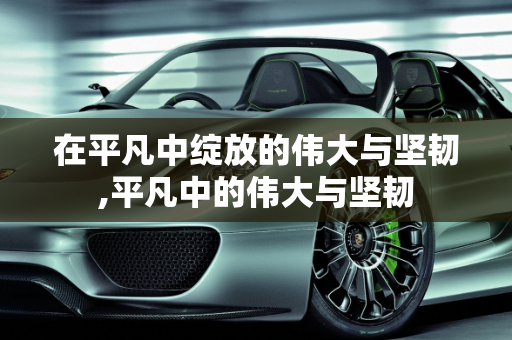 在平凡中绽放的伟大与坚韧,平凡中的伟大与坚韧