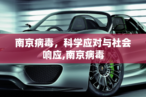 南京病毒，科学应对与社会响应,南京病毒