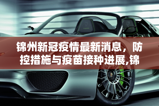 锦州新冠疫情最新消息，防控措施与疫苗接种进展,锦州新冠疫情最新消息
