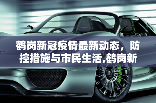 鹤岗新冠疫情最新动态，防控措施与市民生活,鹤岗新冠疫情最新消息