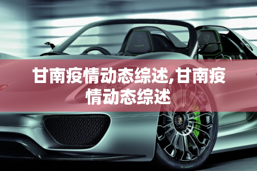 甘南疫情动态综述,甘南疫情动态综述