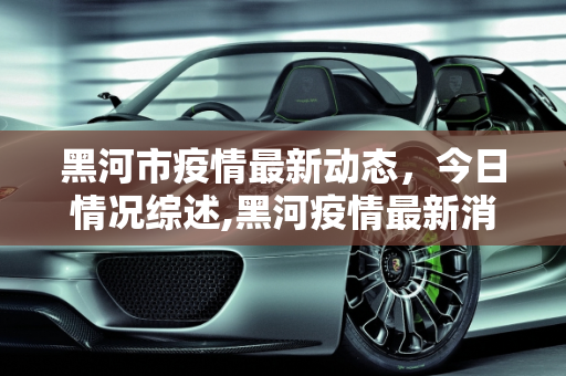 黑河市疫情最新动态，今日情况综述,黑河疫情最新消息今天