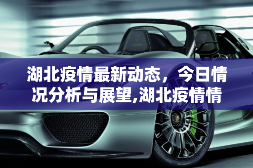 湖北疫情最新动态，今日情况分析与展望,湖北疫情情况最新今天