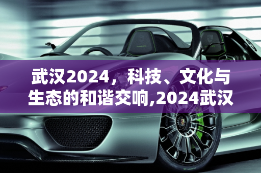 武汉2024，科技、文化与生态的和谐交响,2024武汉