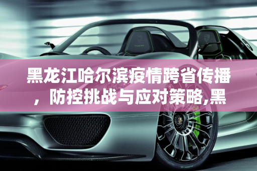 黑龙江哈尔滨疫情跨省传播，防控挑战与应对策略,黑龙江哈尔滨疫情跨省传播