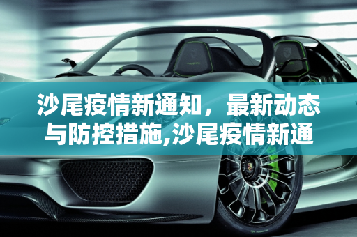 沙尾疫情新通知，最新动态与防控措施,沙尾疫情新通知最新:沙尾有疫情吗