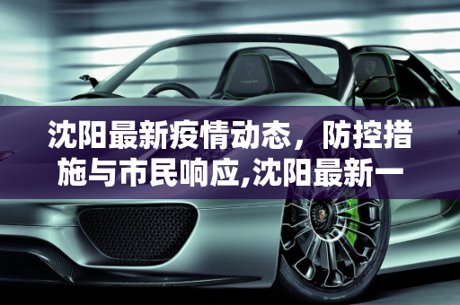 沈阳最新疫情动态，防控措施与市民响应,沈阳最新一例疫情