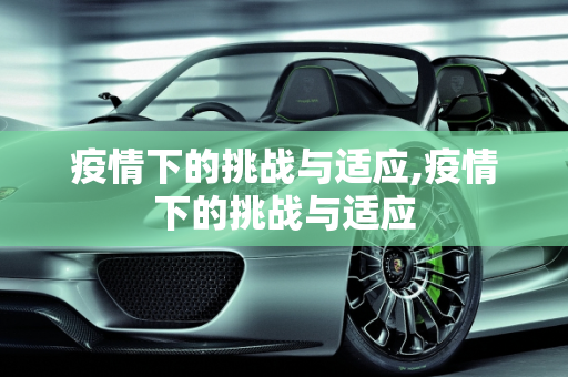 疫情下的挑战与适应,疫情下的挑战与适应