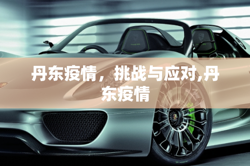 丹东疫情，挑战与应对,丹东疫情
