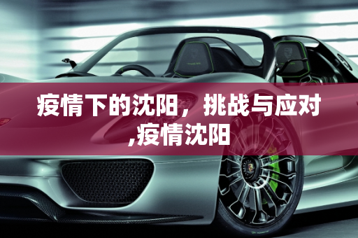 疫情下的沈阳，挑战与应对,疫情沈阳
