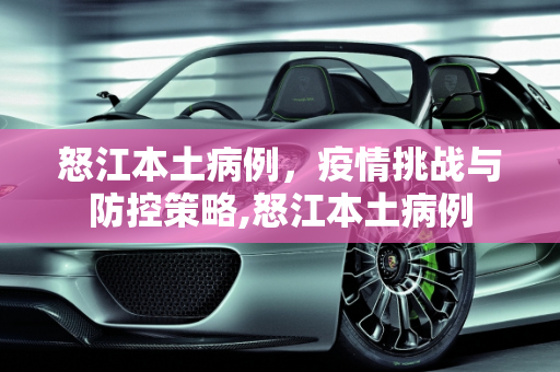 怒江本土病例，疫情挑战与防控策略,怒江本土病例