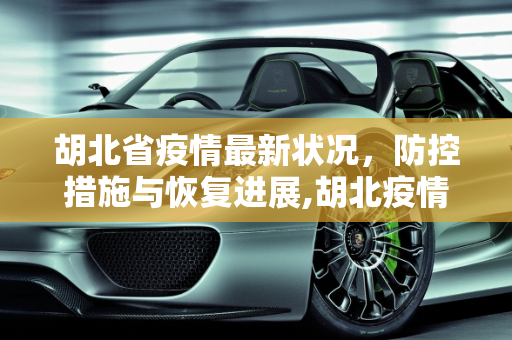 胡北省疫情最新状况，防控措施与恢复进展,胡北疫情最新状况
