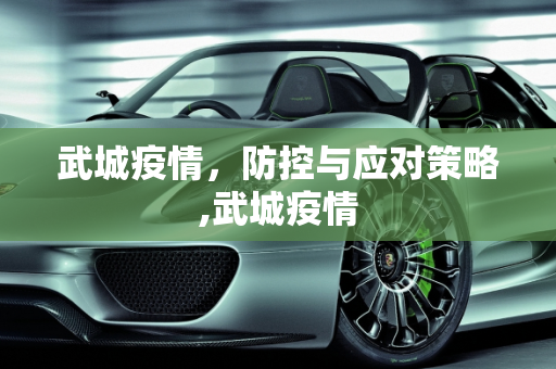 武城疫情，防控与应对策略,武城疫情