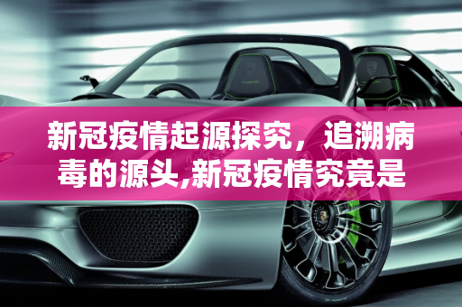 新冠疫情起源探究，追溯病毒的源头,新冠疫情究竟是由何而起