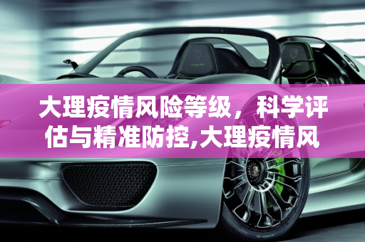 大理疫情风险等级，科学评估与精准防控,大理疫情风险等级