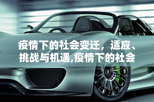 疫情下的社会变迁，适应、挑战与机遇,疫情下的社会变迁