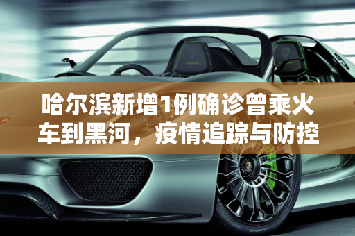 哈尔滨新增1例确诊曾乘火车到黑河，疫情追踪与防控措施,哈尔滨新增1例确诊曾乘火车到黑河