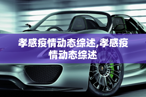孝感疫情动态综述,孝感疫情动态综述