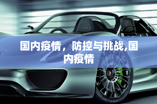 国内疫情，防控与挑战,国内疫情