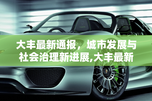 大丰最新通报，城市发展与社会治理新进展,大丰最新通报