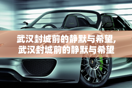武汉封城前的静默与希望,武汉封城前的静默与希望