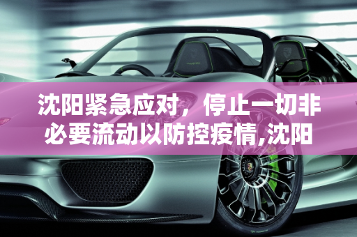 沈阳紧急应对，停止一切非必要流动以防控疫情,沈阳停止一切非必要流动