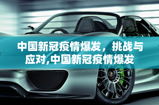 中国新冠疫情爆发，挑战与应对,中国新冠疫情爆发