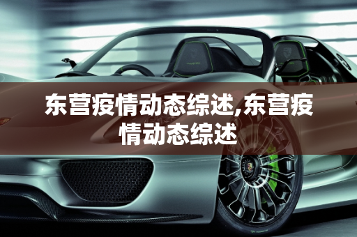 东营疫情动态综述,东营疫情动态综述