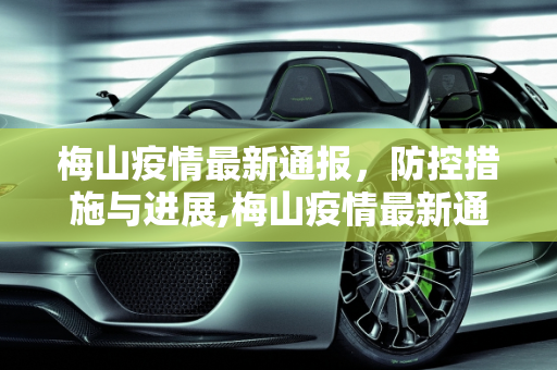 梅山疫情最新通报，防控措施与进展,梅山疫情最新通报