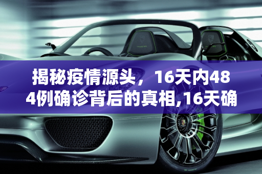 揭秘疫情源头，16天内484例确诊背后的真相,16天确诊484例 疫情源头在哪?