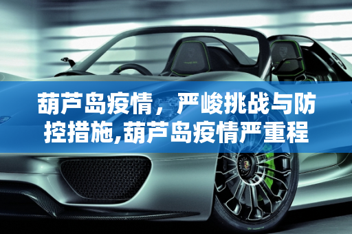 葫芦岛疫情，严峻挑战与防控措施,葫芦岛疫情严重程度