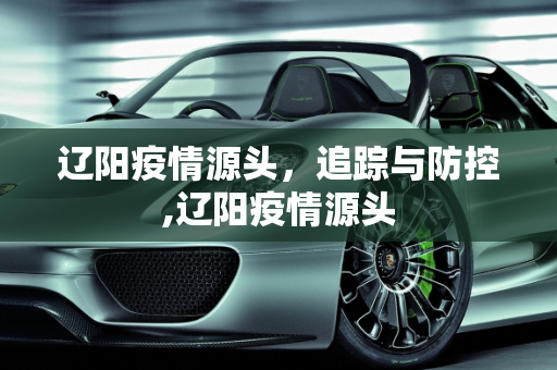 辽阳疫情源头，追踪与防控,辽阳疫情源头