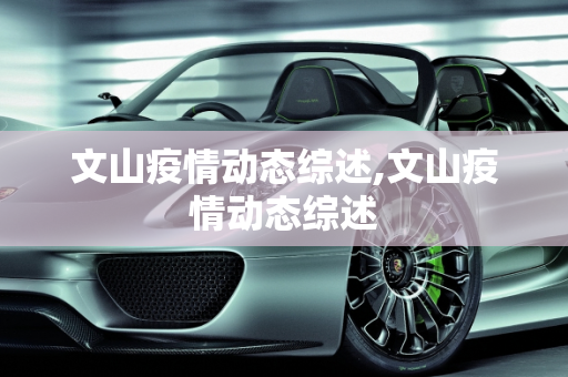 文山疫情动态综述,文山疫情动态综述