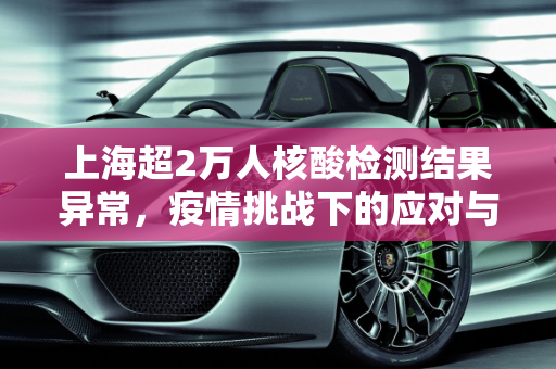 上海超2万人核酸检测结果异常，疫情挑战下的应对与反思,上海超2万人核检结果异常