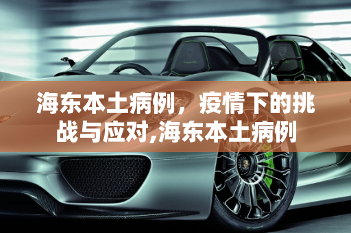 海东本土病例，疫情下的挑战与应对,海东本土病例