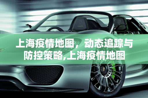 上海疫情地图，动态追踪与防控策略,上海疫情地图