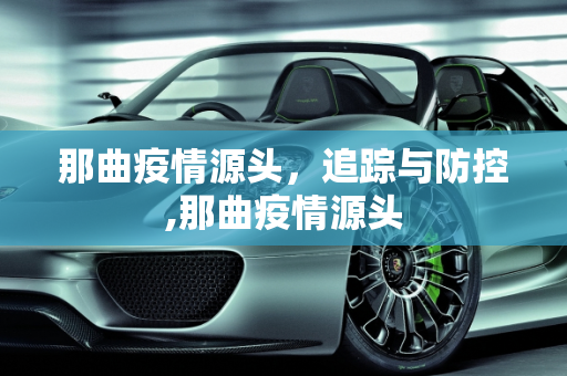 那曲疫情源头，追踪与防控,那曲疫情源头