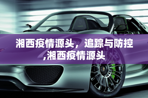 湘西疫情源头，追踪与防控,湘西疫情源头