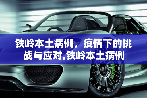 铁岭本土病例，疫情下的挑战与应对,铁岭本土病例
